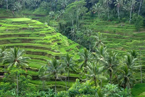 Ubud, Indonesia
